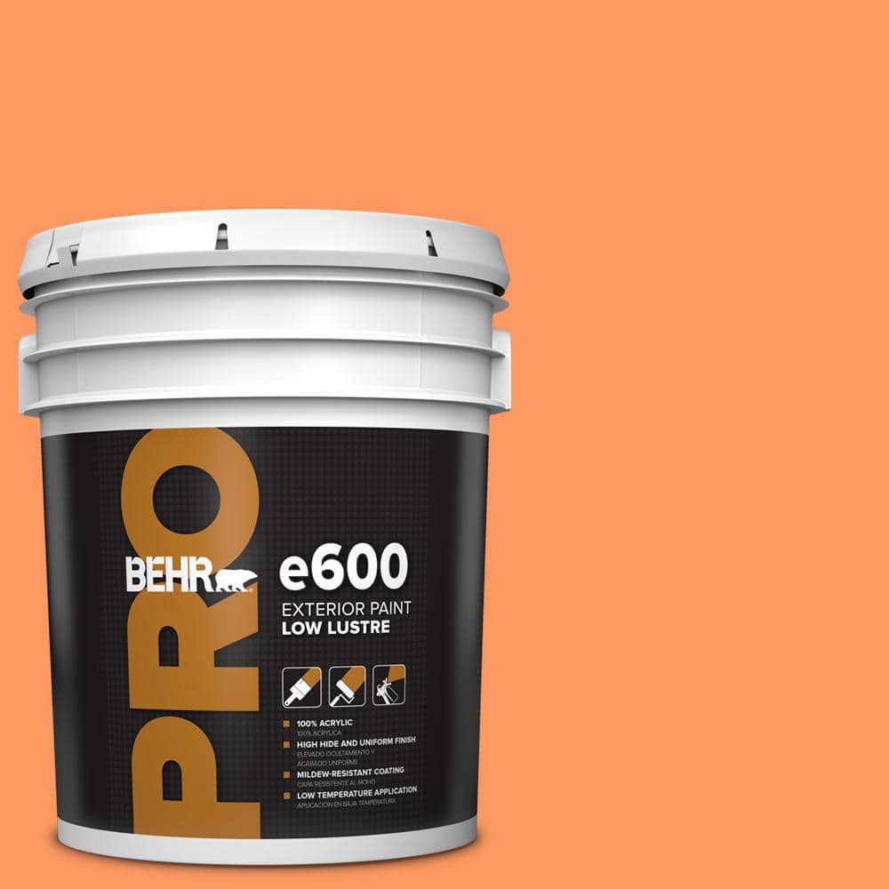 5 gal. #230B-5 Indian Paint Brush Low Luster Exterior Paint price history on PriceWatchPro