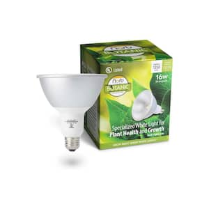 NorbBOTANIC 16W Equivalent Architectural Grade Par38 5975K White Plant Grow Light Bulb (1-Pack)