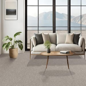 Painted Picture - Artistic-Gray 12 ft. 45 oz. Triexta PET Pattern Installed Carpet