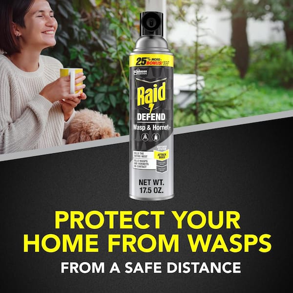 Raid Wasp and Hornet Killer, Stinging Bug Insecticide for Outdoor Use,  Insect Killer, 17.5 oz. 377657 - The Home Depot