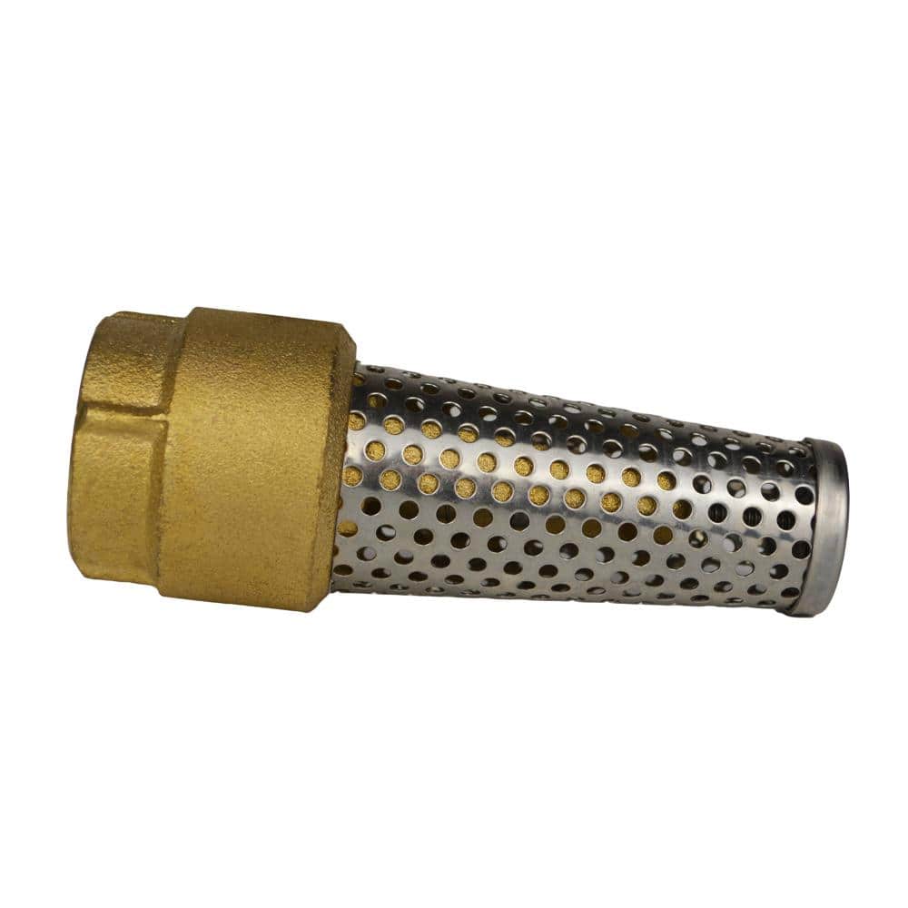 Water Source 2 in. Brass Foot Valve -  TFV200NL