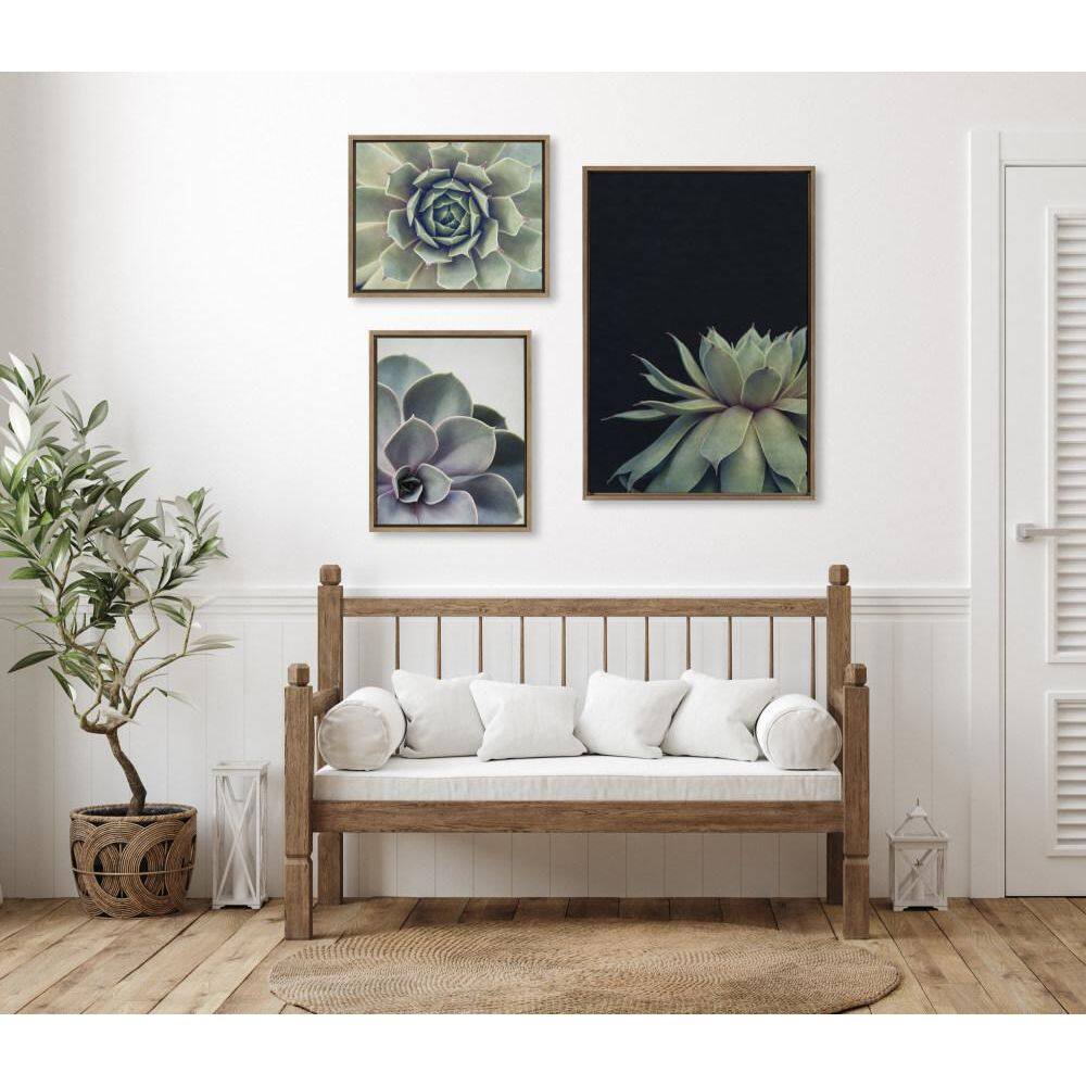 Set of 3 Gold Framed Succulent Canvas Prints