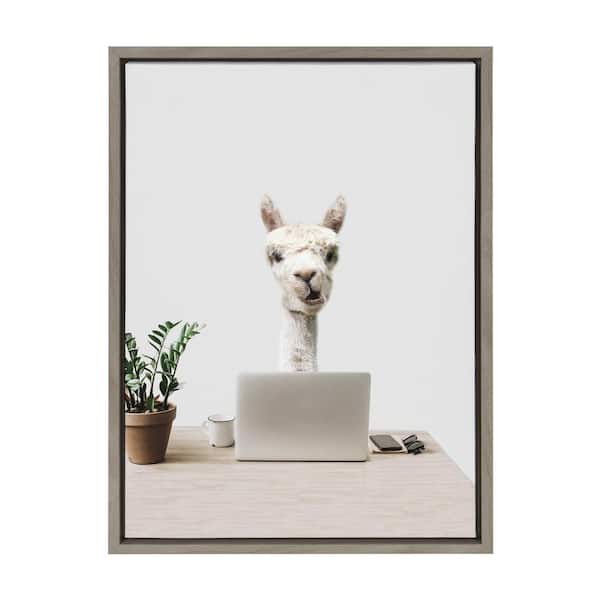 Kate and Laurel Mr. Al Paca here, I'm in Distribution by The Creative Bunch Studio Framed Animal Canvas Wall Art Print 24 in. x 18 in.