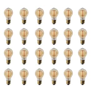 60-Watt A19 Dimmable Cage Filament Amber Glass E26 Vintage Edison Incandescent Light Bulb Soft White 2100K (24-Pack)