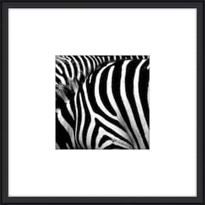 Zebra II Framed Giclee Animal Art Print 20 in. x 20 in.