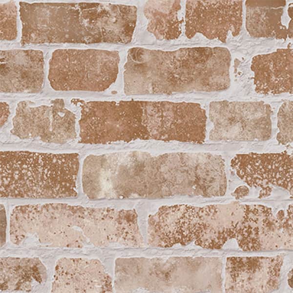 Merola Tile Manhattan Cotto 5-1/4 in. x 6 in. Porcelain Wall Take Home Tile Sample