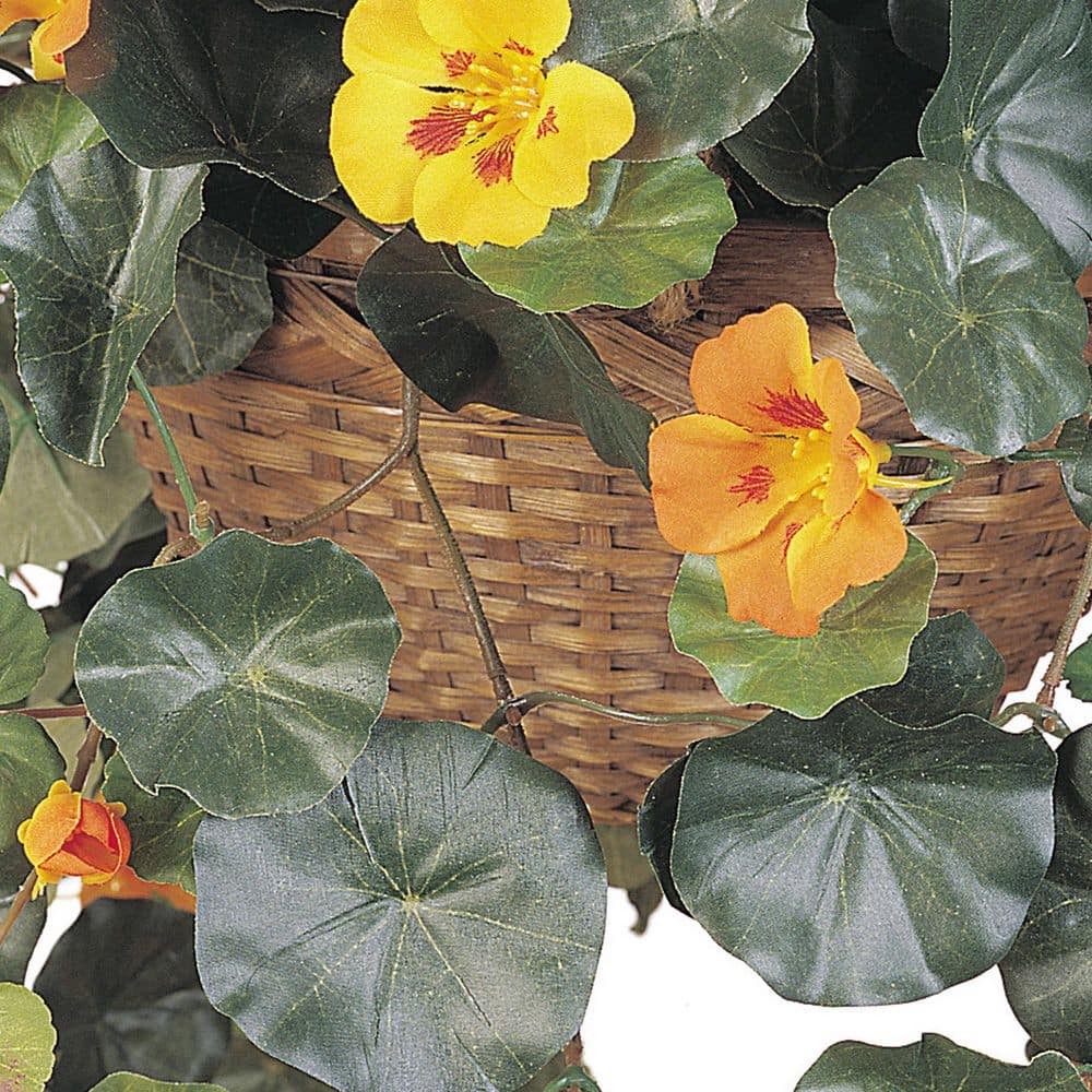 Vibrant Nasturtium Silk Hanging Basket with Yellow Flowers
