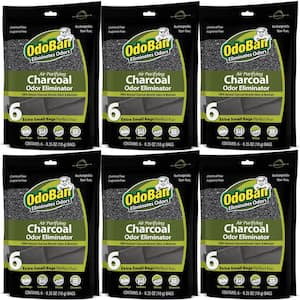10 g Charcoal Odor Eliminators (6 ct) Natural Odor and Moisture Absorber, Odor Remover Bags for Shoes, Gym Bags (6-Pack)