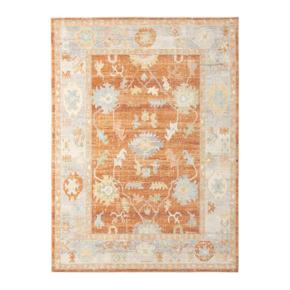 Blue, Orange 8 ft. x 10 ft. Loomed Floral Polypropylene Rectangle Indoor/Outdoor Area Rug price history on PriceWatchPro