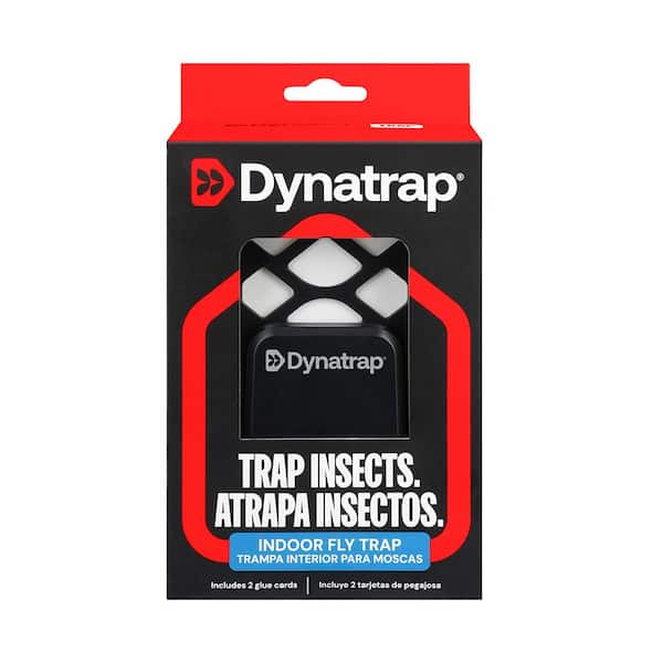 Dynatrap Indoor Plug-In Fly Trap for Flies, Fruit Flies, Moths, Gnats, and Other Flying Insects - 1 Black Device + 2 Glue Cards