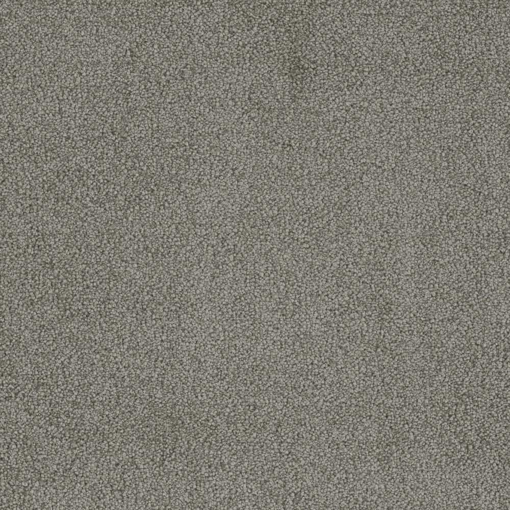 Home Decorators Collection 8 in. x 8 in. Texture Carpet Sample - Sweet ...