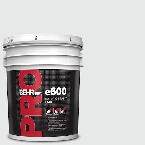 BEHR PRO 5 gal. #PR-W10 Swirling Water Flat Exterior Paint