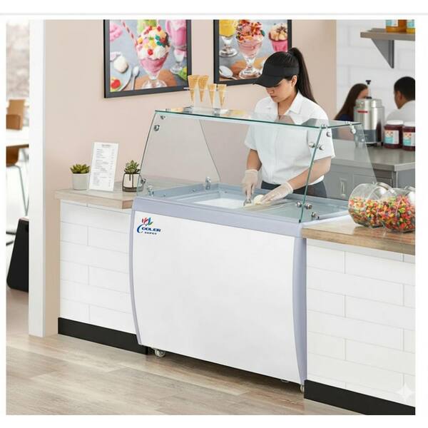 ﾊﾟｰﾃｰｼｮﾝ(No:1283466) Cooler Depot 40 in. 9.5 cu. ft. 6 Tub Manual Defrost Ice Cream