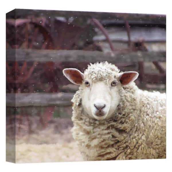 PTM Images farmhouse sheep'' Canvas Abstract Wall Art 15 in. x 15 in.