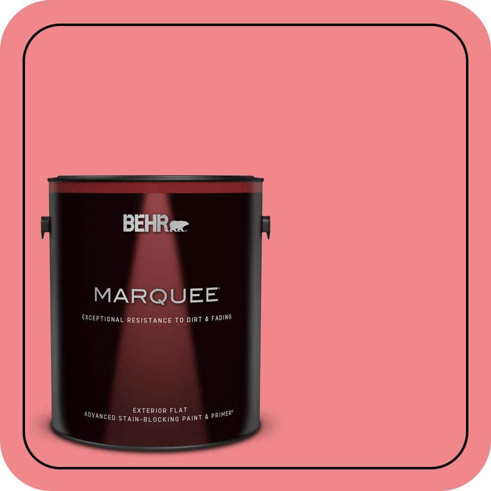 1 gal. #140B-5 Flamingo Dream Flat Exterior Paint & Primer price history on PriceWatchPro