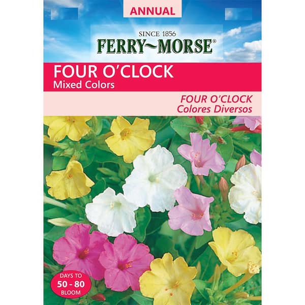 Ferry-Morse Four O'Clock Mixed Colors Seed