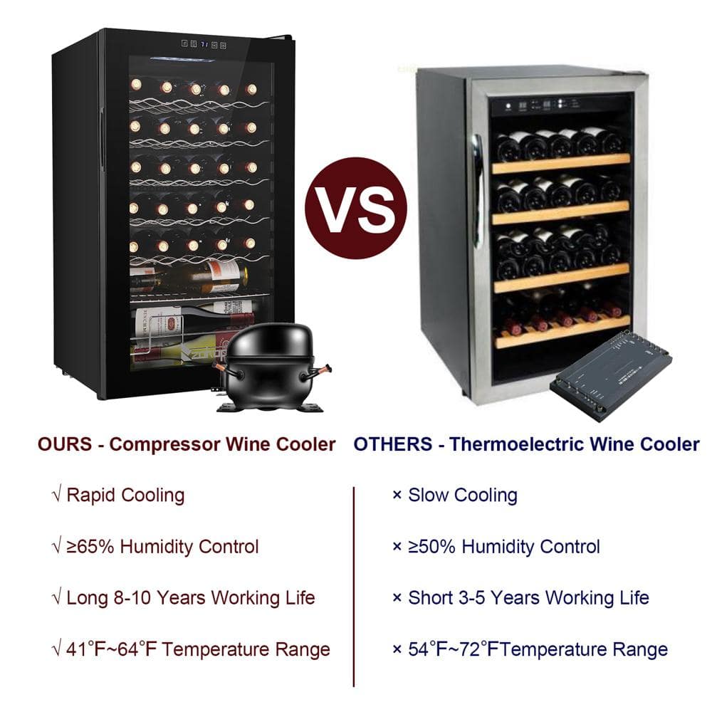 17-Inch Black Stainless Steel Freestanding Wine Cooler with LED Lighting