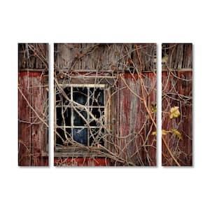 24 in. x 32 in. "Old Barn Window" by Lois Bryan Printed Canvas Wall Art