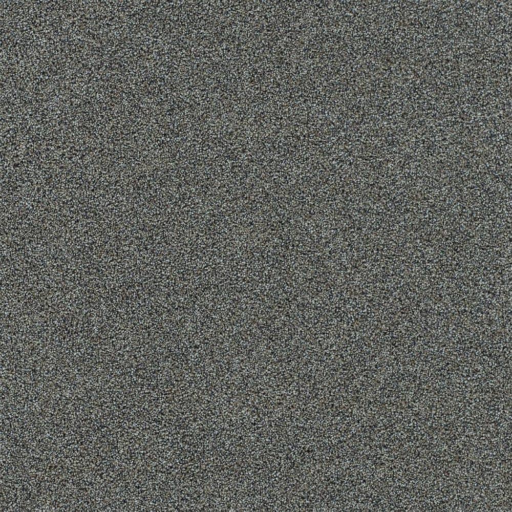 8 in. x 8 in. Texture Carpet Sample-Cinderella Soft I-Color Satin price history on PriceWatchPro
