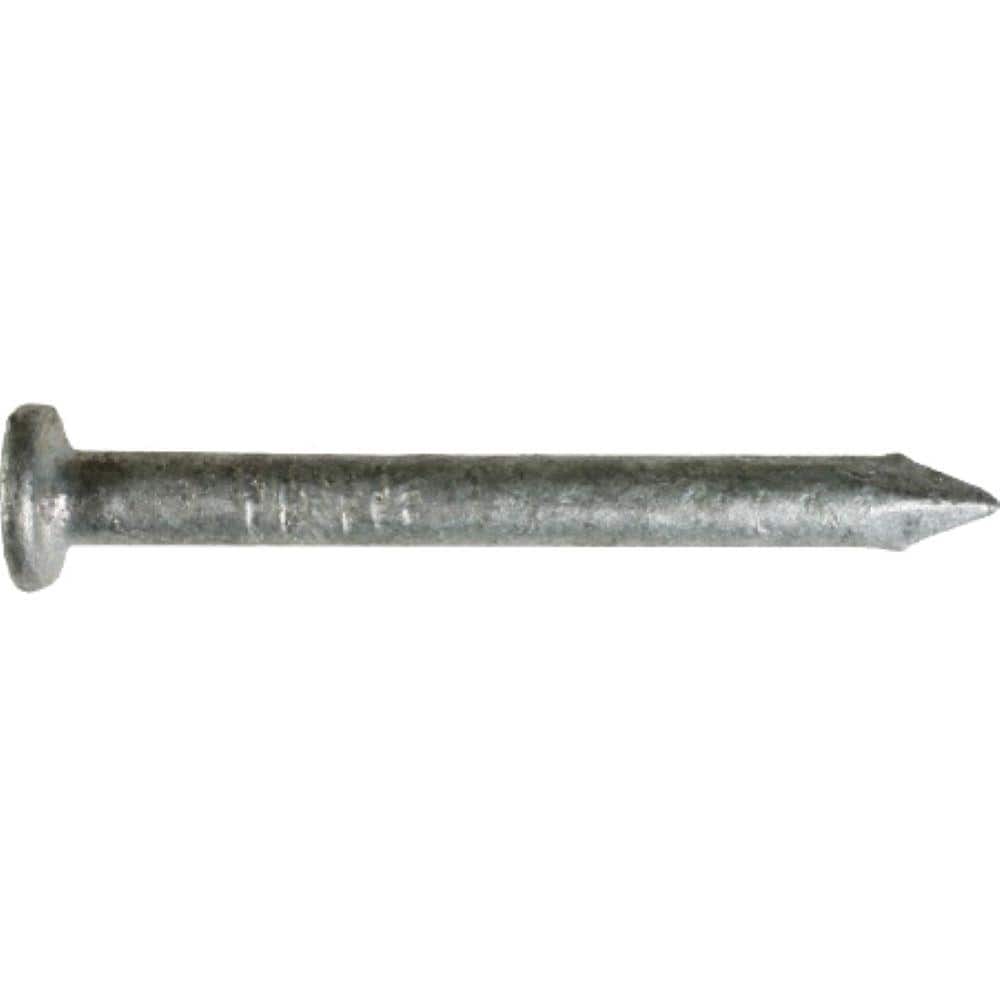 #9 x 1-1/2 in. Hot-Galvanized Steel Non-Collated Wood Joiner Nails (50 lbs