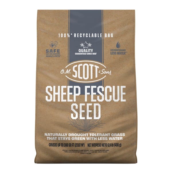Sheep Fescue Seed 0.9 lb. 300 sq. ft. Lawn Seed for Naturally Drought-Tolerant Grass