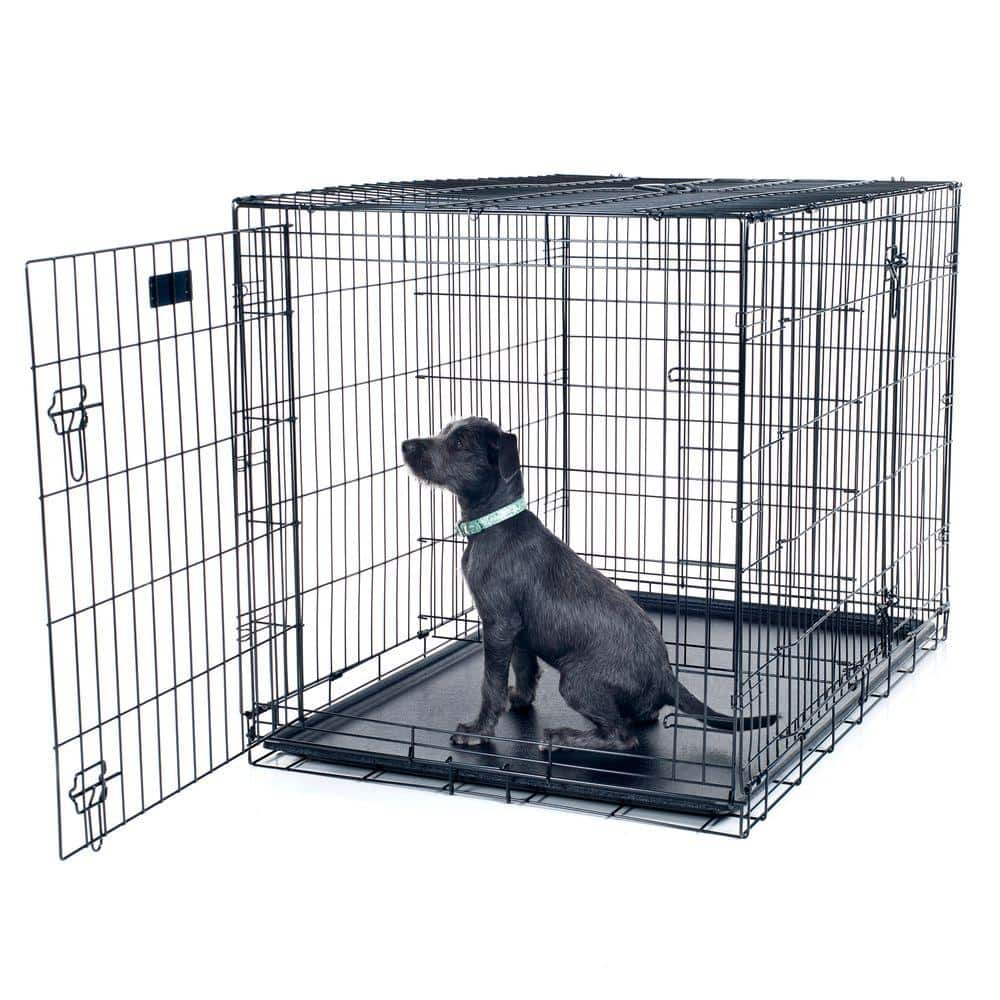 Extra Large Black Metal 2-Door Foldable Dog Crate Cage