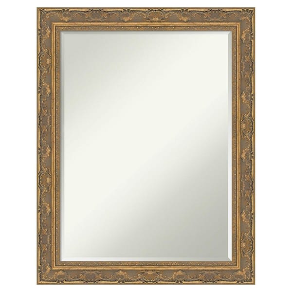 Amanti Art Filigree Gold 22.25 in. x 28.25 in. Petite Bevel