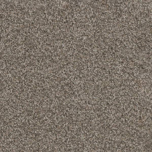 Trestle II-Passage Beige-60 oz. SD Polyester Texture Installed Carpet