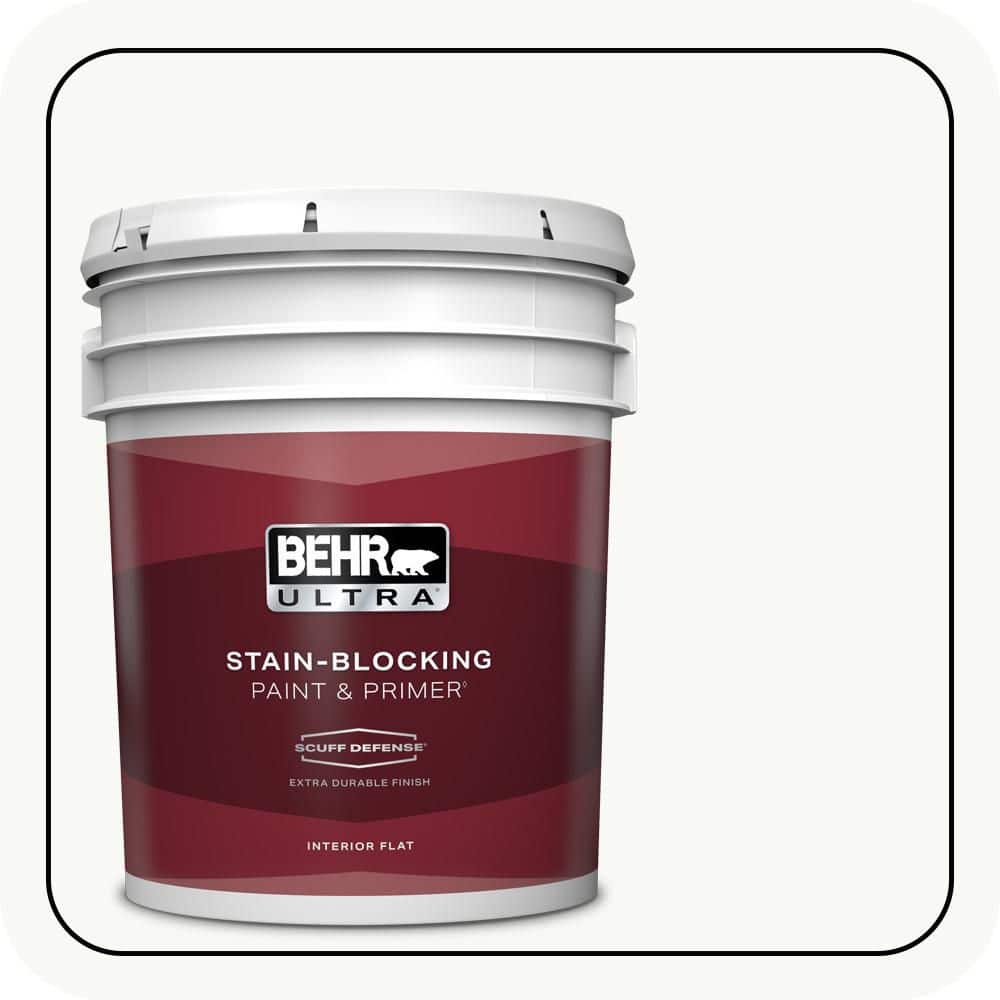 5 gal. Home Decorators Collection #HDC-NT-04G Blanca Peak Extra Durable Flat Interior Paint & Primer price history on PriceWatchPro