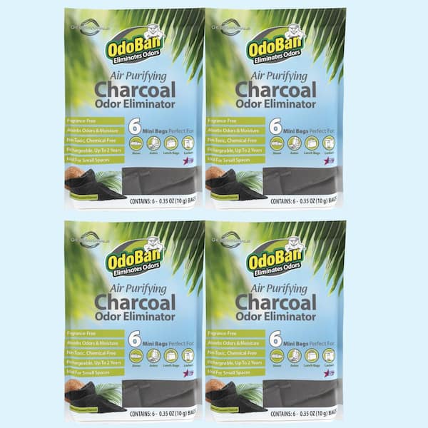 OdoBan 10 g Charcoal Odor Eliminators (6 Ct), Natural Odor & Moisture Absorber, Odor Remover Bags for Shoes, Gym Bags 4 Pack