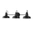 https://images.thdstatic.com/productImages/85a63232-31ab-4445-b759-297618e9e51f/svn/matte-black-hampton-bay-vanity-lighting-hb3672-43-64_65.jpg