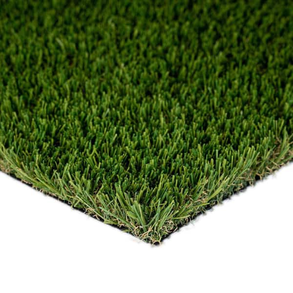 GREENLINE ARTIFICIAL GRASS Sapphire 50 Fescue 15 ft. Wide x Cut to Length Green Artificial Grass Carpet