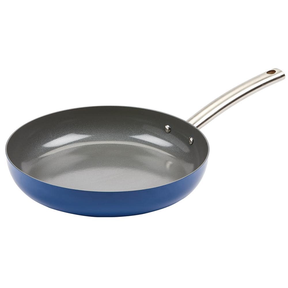 Emeril by All-clad 8 In. Stainless Steel Skillet 