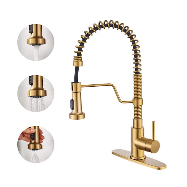 CASAINC Single-Handle Pull-Down Sprayer Kitchen Faucet with 3 Function Pull out Sprayerhead, Deckplate in Brushed Gold