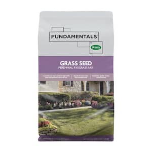 Fundamentals 3 lbs. Perennial Ryegrass Grass Seed