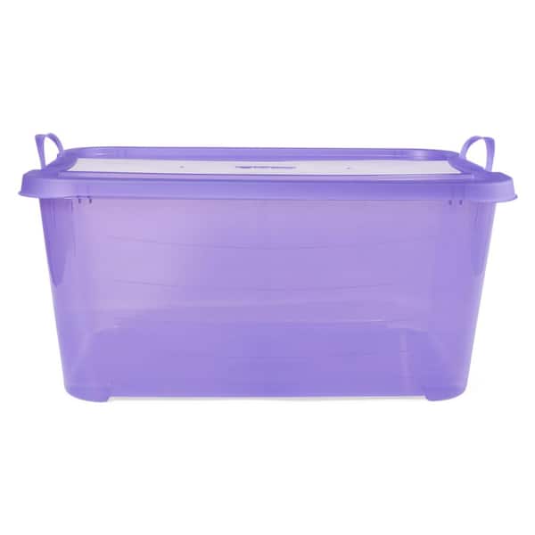 Medium Multi-Compartment Storage Box Transparency Purple DL-C298