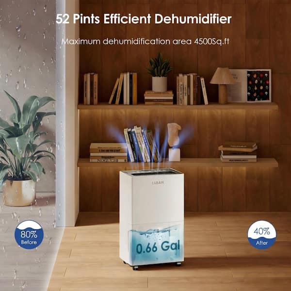 52 pt. 4500 sq. ft. Dehumidifier in White with Drain Hose and Water Tank for Home and Basement, Auto Defrost