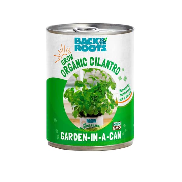 Garden in a Can Cilantro