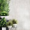 wallpaper-rolls-it9799-31.2