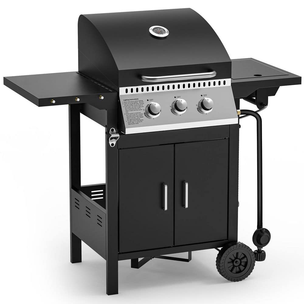 2 Burner Stainless Steel Portable Propane Gas Grill with Side Burner in Black