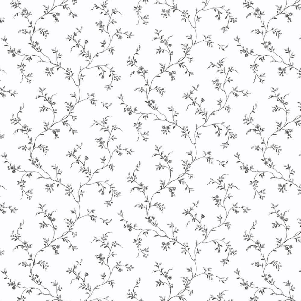 Allison's Trail in Gray and Black price history on PriceWatchPro