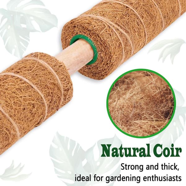 17 in. Moss Pole Plant Stake for Plant Monstera Climbing Plants, Coir Plant  Pole Sticks Support Stakes (2-Pack) JT00145-BL - The Home Depot