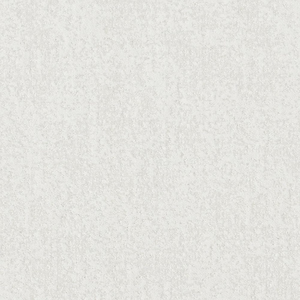 Elegant Dosinia - Avalanche - Beige 48.8 oz. Nylon Pattern Installed Carpet