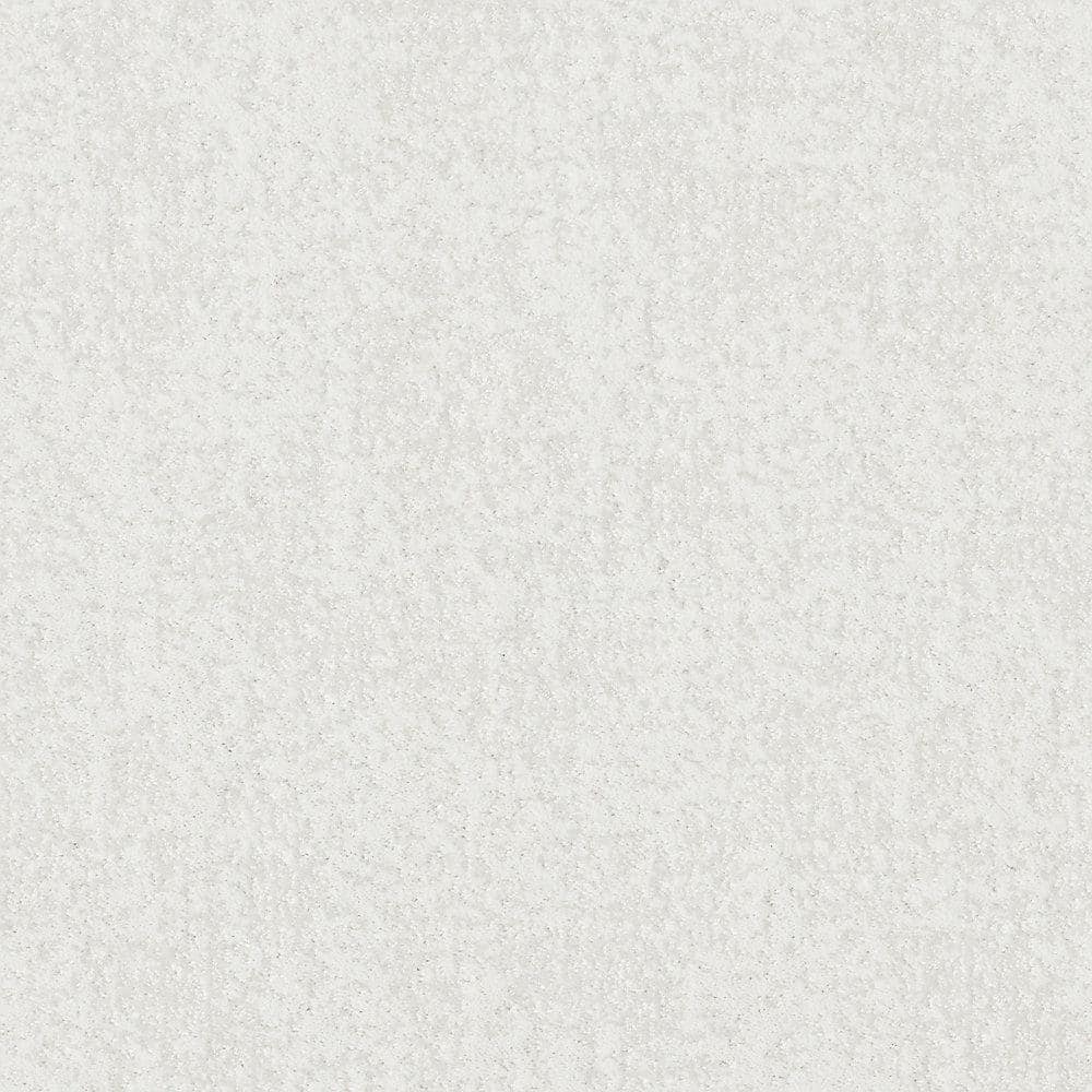 8 in. x 8 in. Pattern Carpet Sample - Elegant Dosinia - Color Avalanche price history on PriceWatchPro