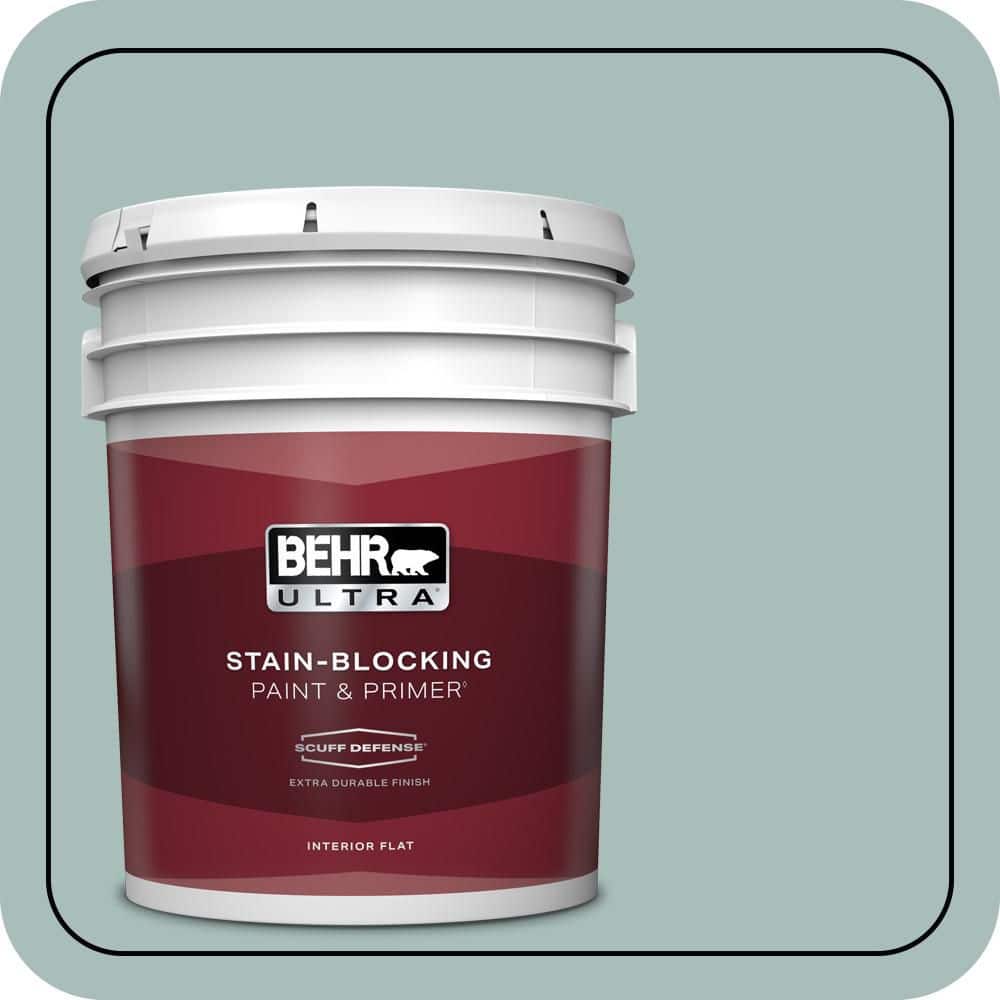 5 gal. #QE-43 Water Surface Extra Durable Flat Interior Paint & Primer price history on PriceWatchPro