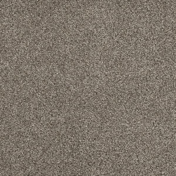 Home Decorators Collection Moonlight  - Flare - Gray 32 oz. SD Polyester Texture Installed Carpet