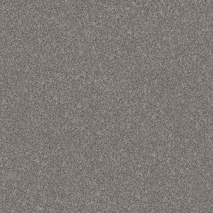 River Rocks II - Stacked Wall - Gray 56.2 oz. SD Polyester Texture Installed Carpet