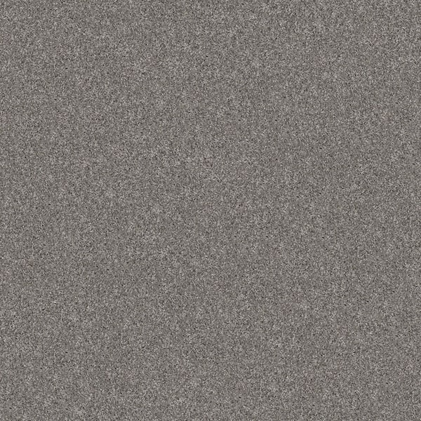 Home Decorators Collection River Rocks III - Stacked Wall - Gray 65.6 oz. SD Polyester Texture Installed Carpet