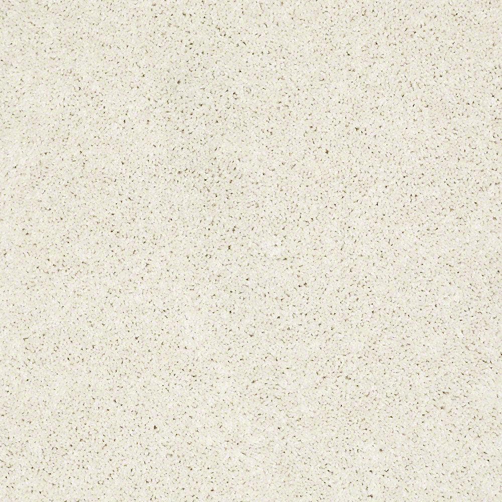 8 in. x 8 in. Texture Carpet Sample - Palmdale II - Color Ivory Whisper price history on PriceWatchPro
