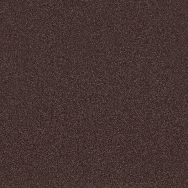 Park Royal II Nightfall Black 52 oz. Nylon Texture Carpet - Installation Required